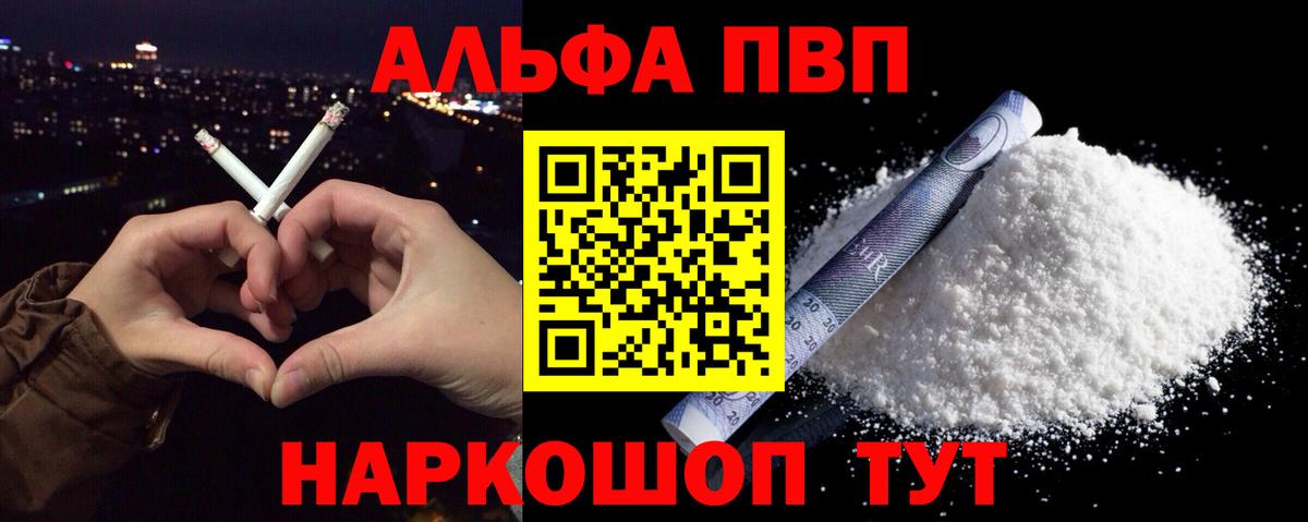 Alfa_PVP СК КРИС Геленджик