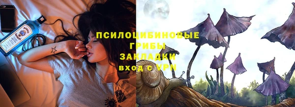 ешки Медногорск