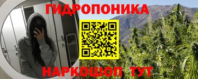 мяу мяу мука Абакан