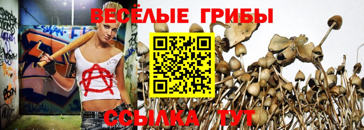Галлюциногенные грибы мухоморы  Вход с VPN  наркотики  Геленджик 